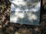 image of grave number 932843